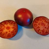 Blueberry Dessert, Chernichnyj Desert 