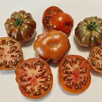 Brown Ribbed, Korichnevyj Rebristyj