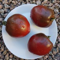 Bychje Serdze chornoje, Black Oxheart