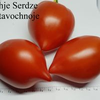 Bychje serdze vystavochnoje, Utställning Oxhjärta