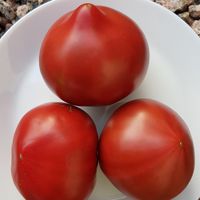 Cherokee Black Heart