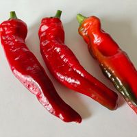 Chili Big Jim 500 och 5 000 SHU