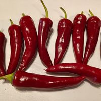 Chili Cayenne Lõng Slim tjock, 50 000 SHU