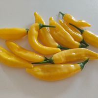 Chili Hot lemon, 30.000-50.000 SHU
