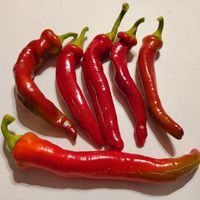 Chili Zizak, 1.500-3.500 SHU