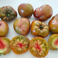 Crimson Sunset Dwarf