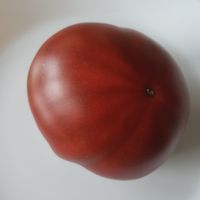 Dieticheskij Chempion (Diet Chempion)