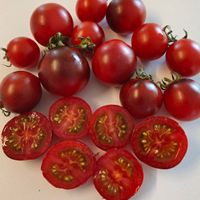 Granatovaja Kaplä 2