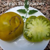 Green Sky Reacher