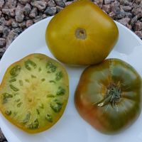 Green Sweety - Zelönaja Slastöna