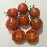 Haley's sweet mystery