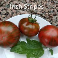 Irish Stripes
