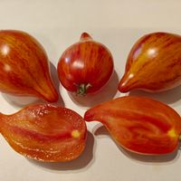 Iskushenie, Temptation