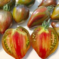 Jelena's Emerald Caramel