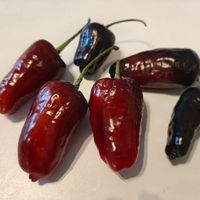 Chili Jalapeno Deadpool, 2,500–10,000 SHU