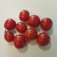 Larisu Ivanovnu Hochu 