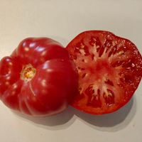 Minusinskij Podarok Sherbininoj 