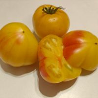 Minusinskoje Mango