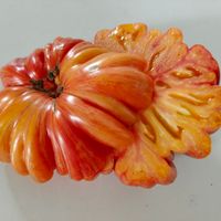 Mushroom Basket Striped