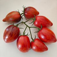 Mystery of the Strawberry Waterfall