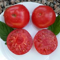 Natsionalnaja Gordost