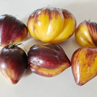 Ochen Sladkij Bljuz, Very Sweet Blues