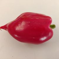 Paprika Plovdivskaja Kapia