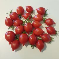 Piennolo del Vesuvio Rosso