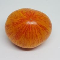 Plan 9 from Outer Space