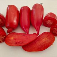 Portugalskaja Paprika