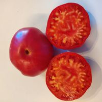 Priamurskij Krupnoplodnyj