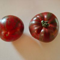 Rebel Starfighter Blane’s Moonlight