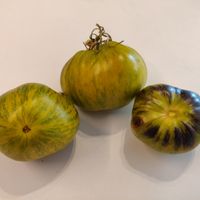 Rebel Starfighter VT 16