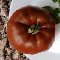 Reinhard's Chocolate Heart