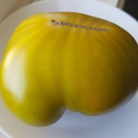 Reinhard's Green Heart