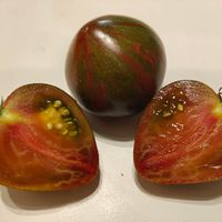 Saljut Viktorii, Victoria's Salute