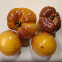 Sgt. Pepper's Yellow