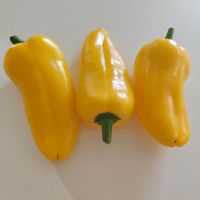 Snackpaprika gul