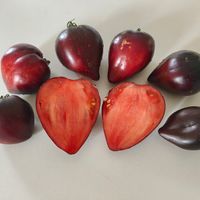 Strawberry Sergeant, Klubnichnyi Serzant