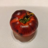 Sunshine Blue Natali