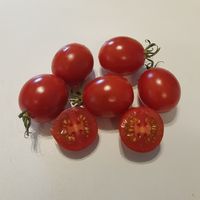 Vesennij Michurinskij