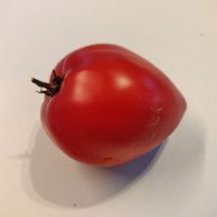 Volovoje Serdze Minusinskoje