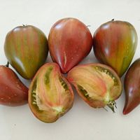 Volshebnaja Raduga, Magic Rainbow